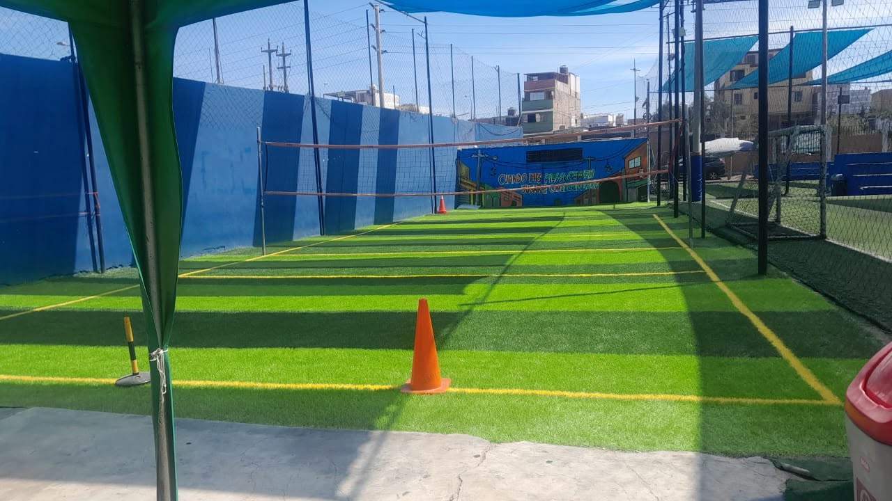 Vóley en pasto sintético
